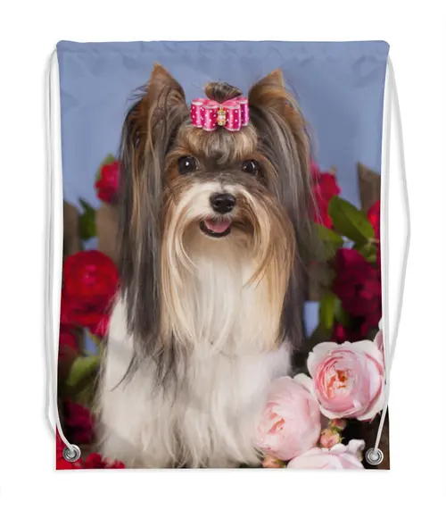 Заказать рюкзак в Москве. Рюкзак-мешок с полной запечаткой Собака от Ирина - готовые дизайны и нанесение принтов.