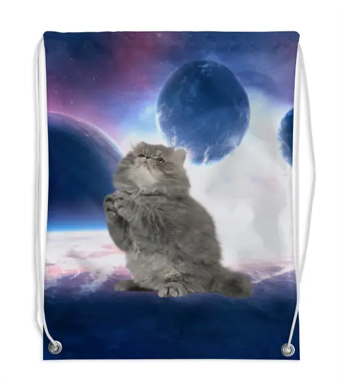 Заказать рюкзак в Москве. Рюкзак-мешок с полной запечаткой  Кот в космосе от THE_NISE  - готовые дизайны и нанесение принтов.