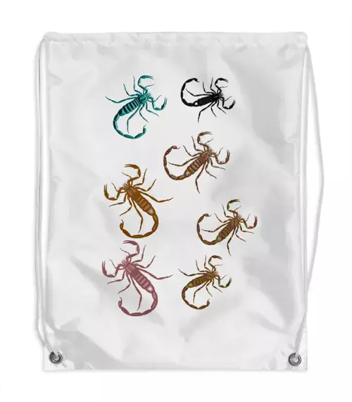 Заказать рюкзак в Москве. Рюкзак-мешок с полной запечаткой Скорпионы от Alexey Evsyunin - готовые дизайны и нанесение принтов.