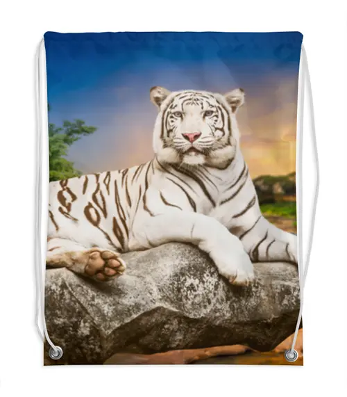 Заказать рюкзак в Москве. Рюкзак-мешок с полной запечаткой Белый тигр от THE_NISE  - готовые дизайны и нанесение принтов.