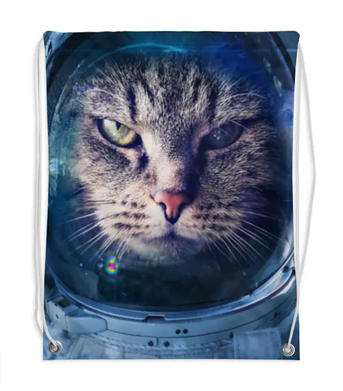 Заказать рюкзак в Москве. Рюкзак-мешок с полной запечаткой Кот в космосе от THE_NISE  - готовые дизайны и нанесение принтов.