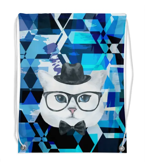 Заказать рюкзак в Москве. Рюкзак-мешок с полной запечаткой Кот в очках  от THE_NISE  - готовые дизайны и нанесение принтов.