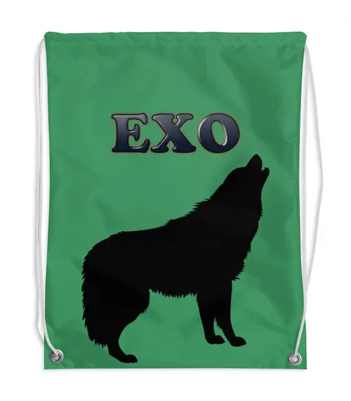 Заказать рюкзак в Москве. Рюкзак-мешок с полной запечаткой EXO (Wolf) зеленый от nionilla - готовые дизайны и нанесение принтов.