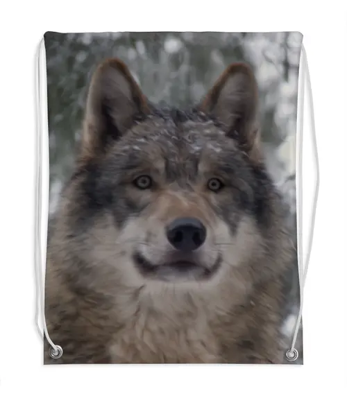 Заказать рюкзак в Москве. Рюкзак-мешок с полной запечаткой Волк в лесу от weeert - готовые дизайны и нанесение принтов.