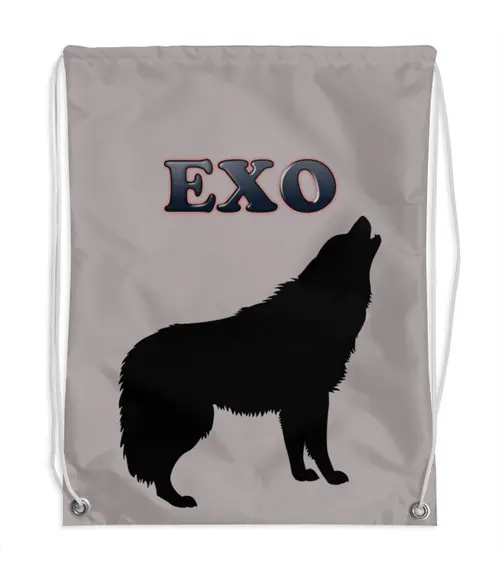Заказать рюкзак в Москве. Рюкзак-мешок с полной запечаткой EXO (Wolf) серый  от nionilla - готовые дизайны и нанесение принтов.