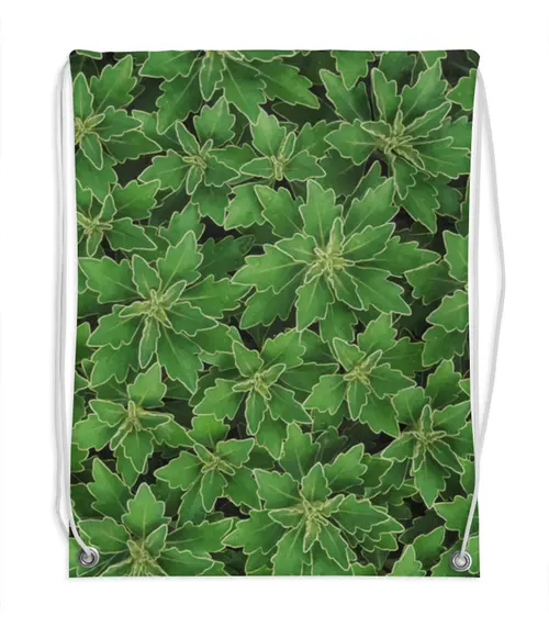 Заказать рюкзак в Москве. Рюкзак-мешок с полной запечаткой Зеленые листья от valezar - готовые дизайны и нанесение принтов.