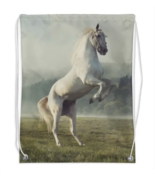 Заказать рюкзак в Москве. Рюкзак-мешок с полной запечаткой Лошадь от THE_NISE  - готовые дизайны и нанесение принтов.