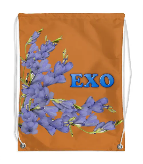 Заказать рюкзак в Москве. Рюкзак-мешок с полной запечаткой EXO синие цветы от nionilla - готовые дизайны и нанесение принтов.