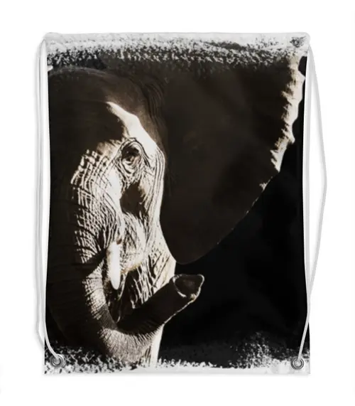 Заказать рюкзак в Москве. Рюкзак-мешок с полной запечаткой Слон с хоботом от Julia Sundukova - готовые дизайны и нанесение принтов.