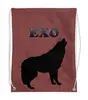 Заказать рюкзак в Москве. Рюкзак-мешок с полной запечаткой EXO (Wolf) красный от nionilla - готовые дизайны и нанесение принтов.
