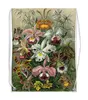 Заказать рюкзак в Москве. Рюкзак-мешок с полной запечаткой Орхидеи (Orchideae, Ernst Haeckel) от Apfelbaum - готовые дизайны и нанесение принтов.
