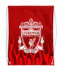 Заказать рюкзак в Москве. Рюкзак-мешок с полной запечаткой  Liverpool от THE_NISE  - готовые дизайны и нанесение принтов.