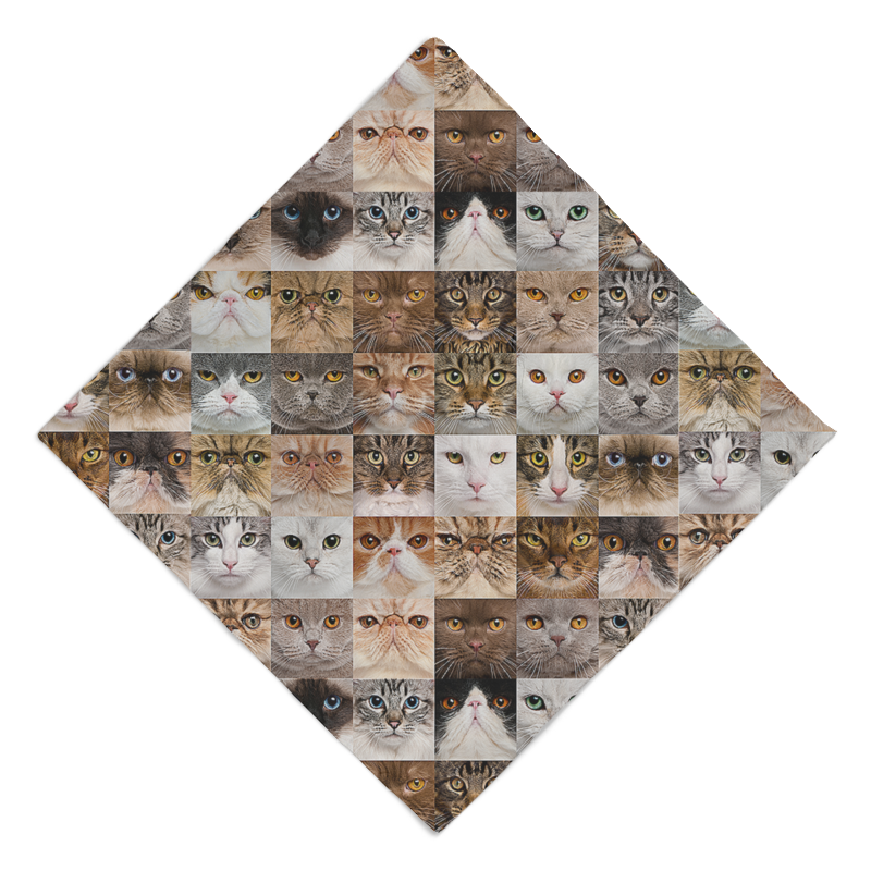 Printio Бандана Кошки. креатив printio полотенце 50×90 см кошки креатив