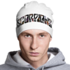 Заказать головной убор в Москве. Шапка классическая унисекс Scorpions Band от Leichenwagen - готовые дизайны и нанесение принтов.