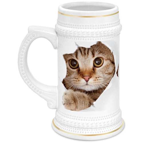 Заказать кружку в Москве. Кружка пивная кошки от robus - готовые дизайны и нанесение принтов.