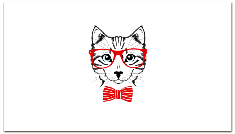 Printio Визитная карточка Кошка printio визитная карточка кошка в маске