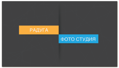 Заказать визитки в Москве. Визитная карточка Фотографа от BeliySlon - готовые дизайны и нанесение принтов.