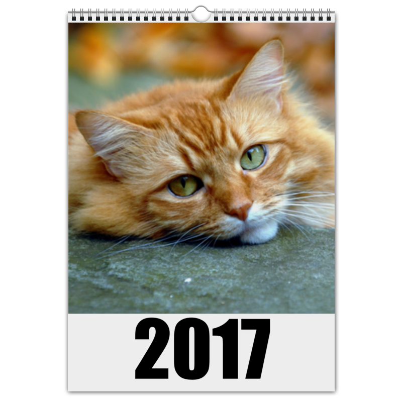цена Printio Перекидной Календарь А3 Коты по временам года