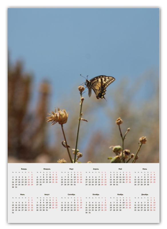 Printio Календарь А2 Бабочка махаон магнит крым чайка