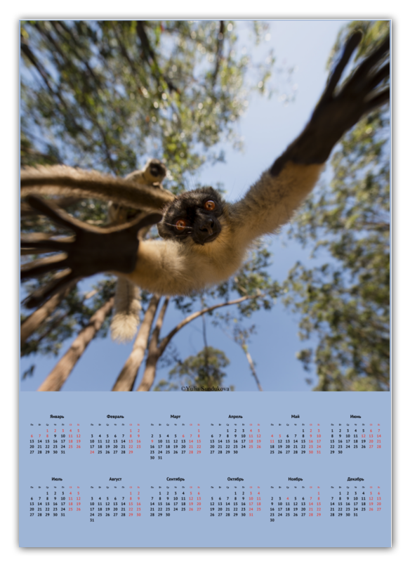 Printio Календарь А2 Обнимашки от лемура