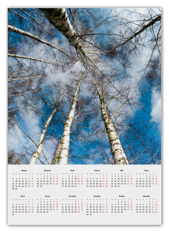 Printio Календарь А2 Березы re pa накладка transparent для honor view 20 v20 с принтом голубое небо в ветках