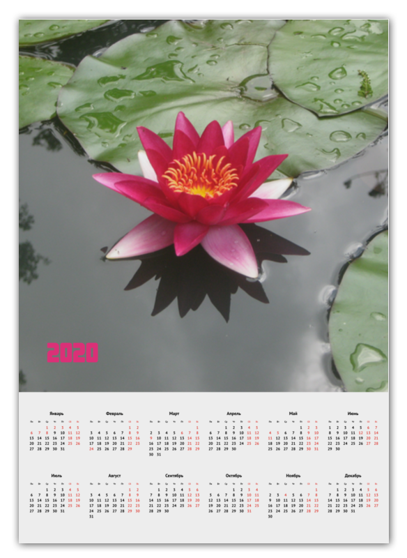 Printio Календарь А2 Водяная тропическая лилия картина на стекле водяная лилия нимфея размер 50х50 см