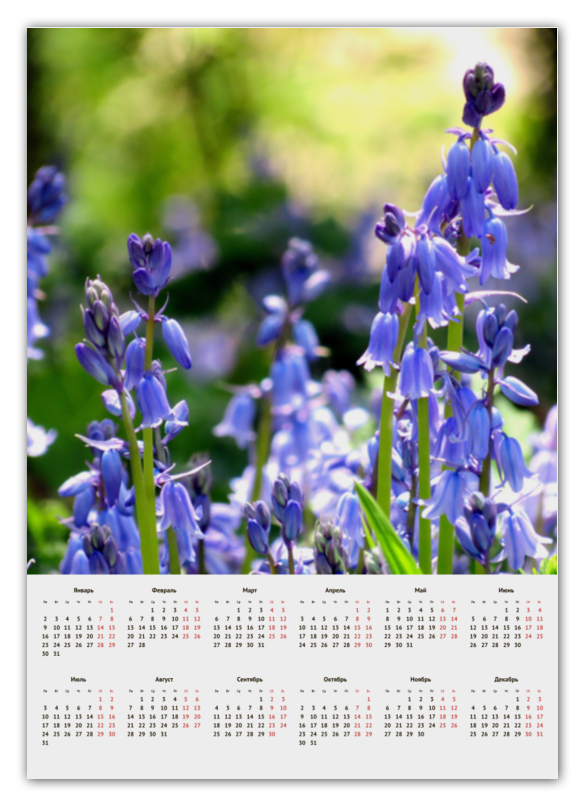Printio Календарь А2 Синие цветы чехол mypads голубые цветочки неон для honor 70 pro 70 pro plus задняя панель накладка бампер