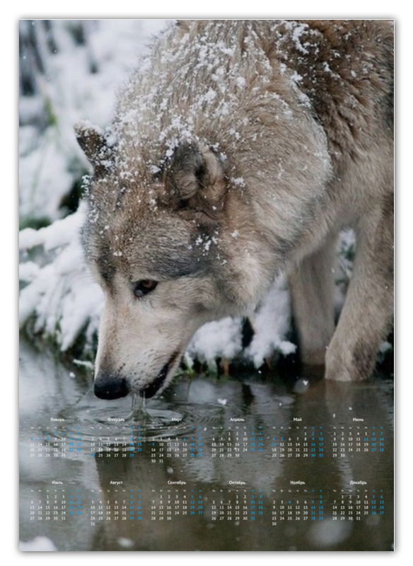 Printio Календарь А2 Волки. живая природа