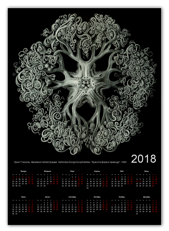 Printio Календарь А2 Ophiodea эрнста геккеля пантилеева а сост красота форм в природе э геккель