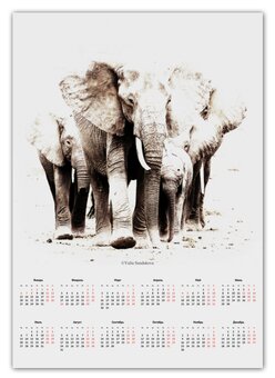 Заказать календарь в Москве. Календарь А2 Семья слонов от Julia Sundukova - готовые дизайны и нанесение принтов.