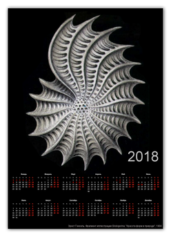 Заказать календарь в Москве. Календарь А2 Глобигерина (Globigerina, Ernst Haeckel) от Apfelbaum - готовые дизайны и нанесение принтов.