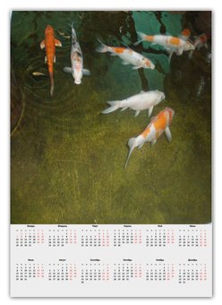 Заказать календарь в Москве. Календарь А2 Календарь рыбки от TYP-SV  - готовые дизайны и нанесение принтов.