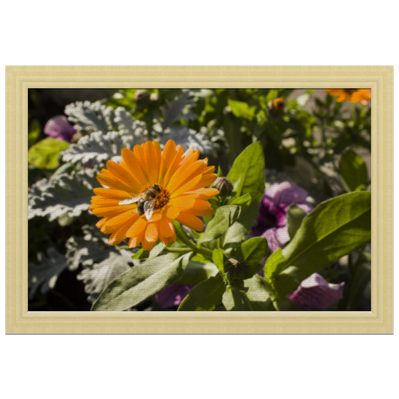 цена Printio Холст 20×30 Пчела на цветке