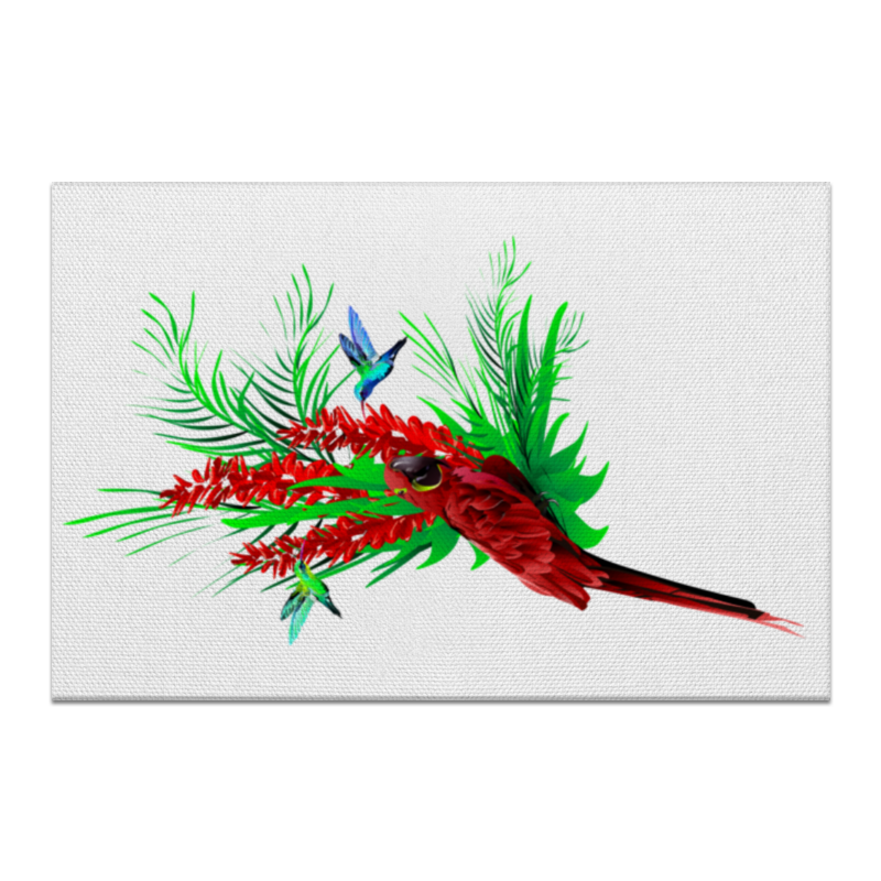Printio Холст 20×30 Тропические птицы от зорго арт.
