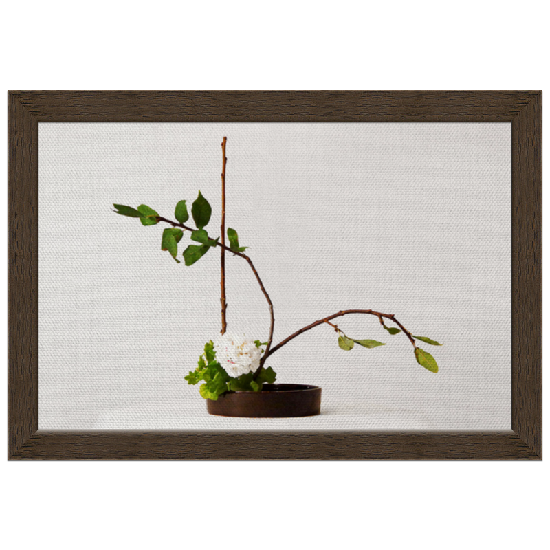 Printio Холст 20×30 Икебана / ikebana printio холст 20×30 композиция цветов