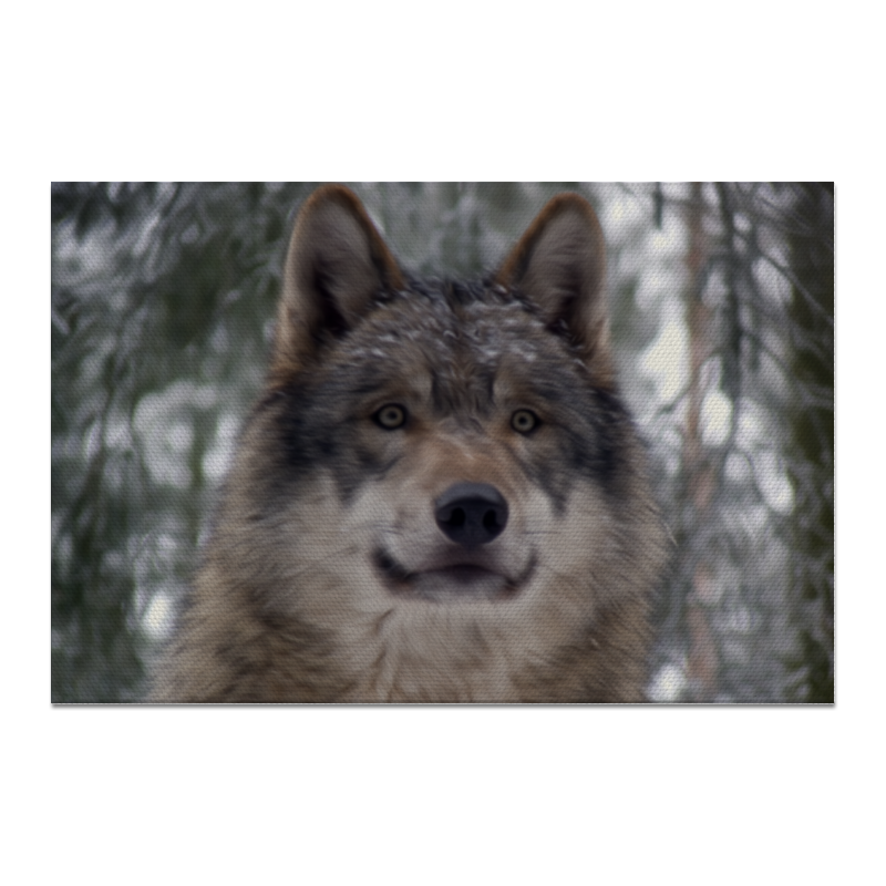 цена Printio Холст 20×30 Волк в лесу