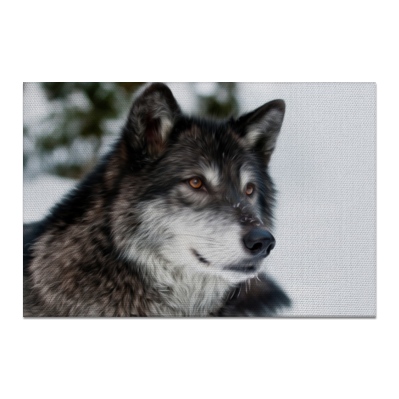 цена Printio Холст 20×30 Серый волк