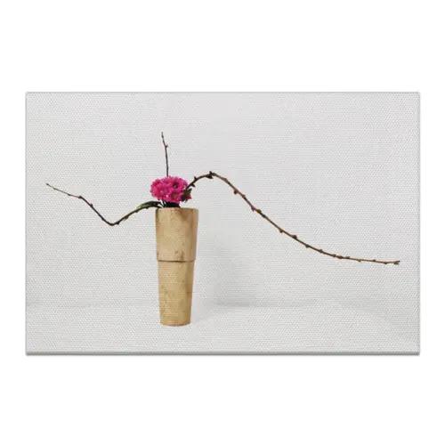 Заказать холст в Москве. Холст 20x30 Икебана / Ikebana от Ikebana - готовые дизайны и нанесение принтов.
