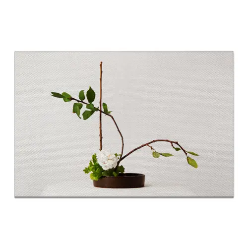 Заказать холст в Москве. Холст 20x30 Икебана / Ikebana от Ikebana - готовые дизайны и нанесение принтов.