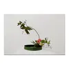 Заказать холст в Москве. Холст 20x30 Икебана / Ikebana от Ikebana - готовые дизайны и нанесение принтов.