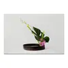 Заказать холст в Москве. Холст 20x30 Икебана / Ikebana от Ikebana - готовые дизайны и нанесение принтов.
