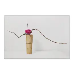 Заказать холст в Москве. Холст 20x30 Икебана / Ikebana от Ikebana - готовые дизайны и нанесение принтов.