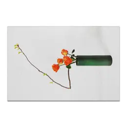 Заказать холст в Москве. Холст 20x30 Икебана / Ikebana от Ikebana - готовые дизайны и нанесение принтов.