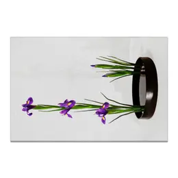 Заказать холст в Москве. Холст 20x30 Икебана / Ikebana от Ikebana - готовые дизайны и нанесение принтов.