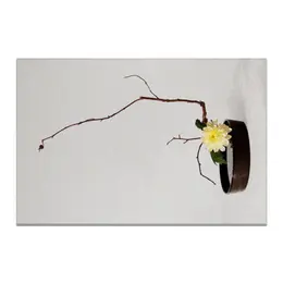 Заказать холст в Москве. Холст 20x30 Икебана / Ikebana от Ikebana - готовые дизайны и нанесение принтов.