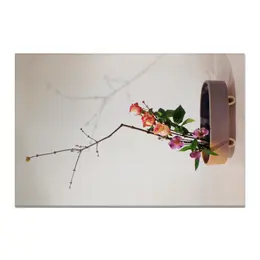 Заказать холст в Москве. Холст 20x30 Икебана / Ikebana от Ikebana - готовые дизайны и нанесение принтов.