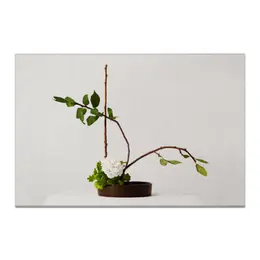 Заказать холст в Москве. Холст 20x30 Икебана / Ikebana от Ikebana - готовые дизайны и нанесение принтов.