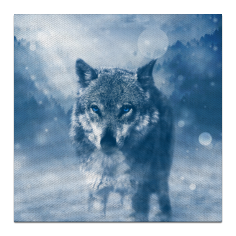 Printio Холст 30×30 Волк с голубыми глазами