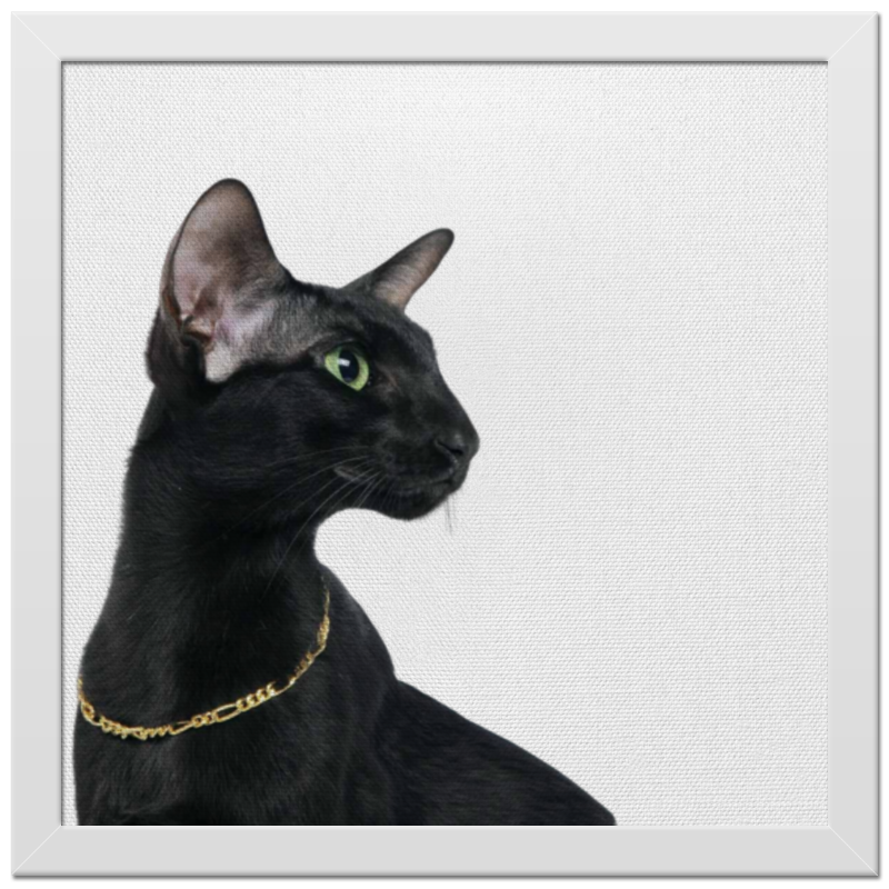 цена Printio Холст 30×30 Черная кошка с золотой цепочкой на шее
