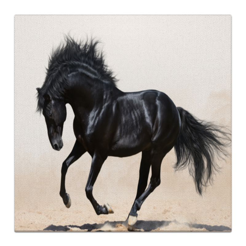 Printio Холст 30×30 Лошадь жеребцов а жизнь добропорядочного человека